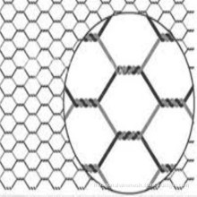 1.5 Inch Mesh Hole Hexagonal Wire Netting